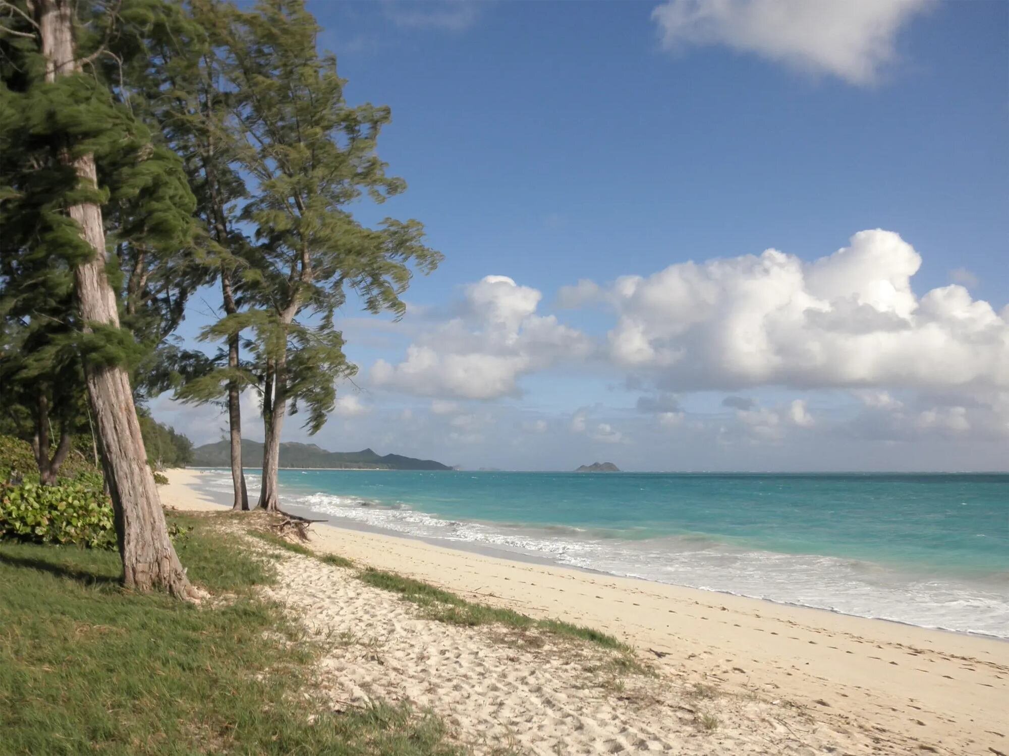 Scenic view of Waimānalo Beach with turquoise water and ironwood trees, a popular location for Oahu engagement photos