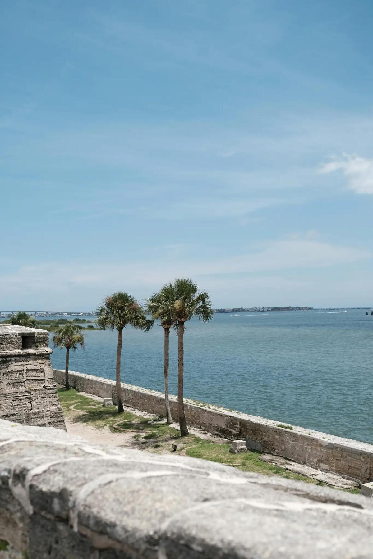 View from the historic fort walls at Fort De Soto Park, Tampa, with palm trees lining the waterfront and the calm blue bay stretching to the horizon — a scenic location for Tampa family photographer sessions by Dreamgraphy