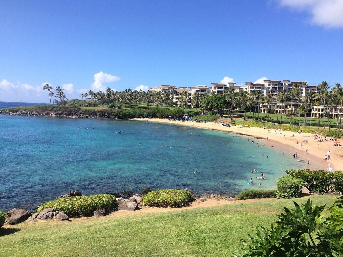 Swimmers in the calm, clear water of a crescent-shaped bay with a sandy beach, palm trees and resort buildings on Maui