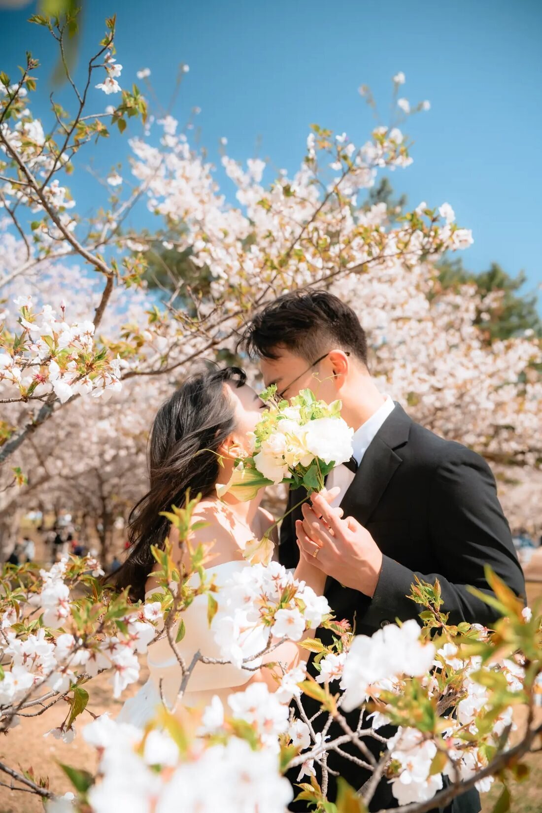 Fukuoka Photographer — Couple Cherry Blossom Session A couple sharing a romantic moment surrounded by cherry blossom trees in full bloom during a professional photo session in Fukuoka, Japan