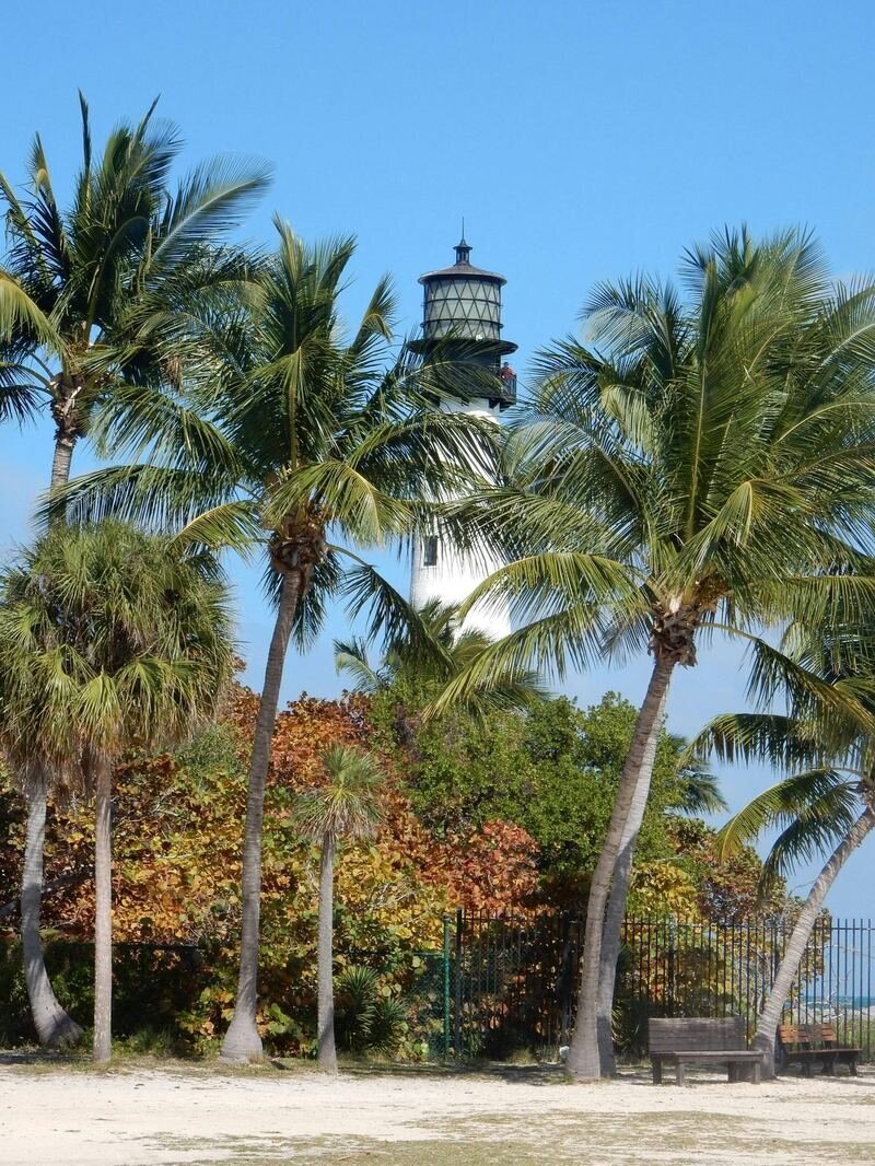Cape Florida Lighthouse at Bill Baggs State Park on Key Biscayne, surrounded by palm trees and tropical foliage — a unique and scenic location for Miami family photography