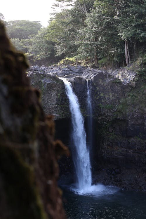 Photo Session Location — Hilo, Big Island Hawaii A dramatic waterfall cascading through lush green rainforest in Hilo on the Big Island of Hawaii