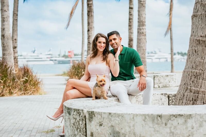 miami-photographer-maurice-ferre-park-session-mobile A couple and their small dog sitting on a curved stone bench under palm trees, with boats on the water behind, at Maurice Ferré Park in Miami