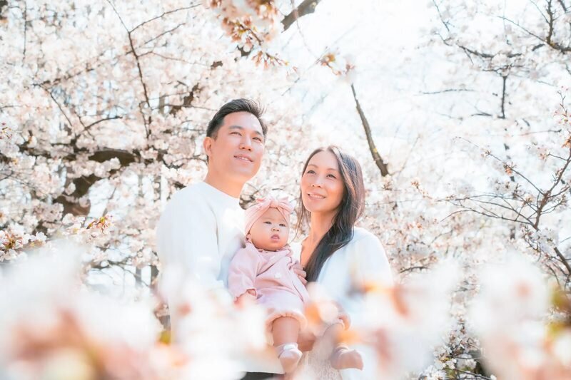Fukuoka Photographer — Family Cherry Blossom Session at Ohori Park A family of three — parents holding their baby — surrounded by cherry blossoms in full bloom during a professional photo session in Fukuoka, Japan