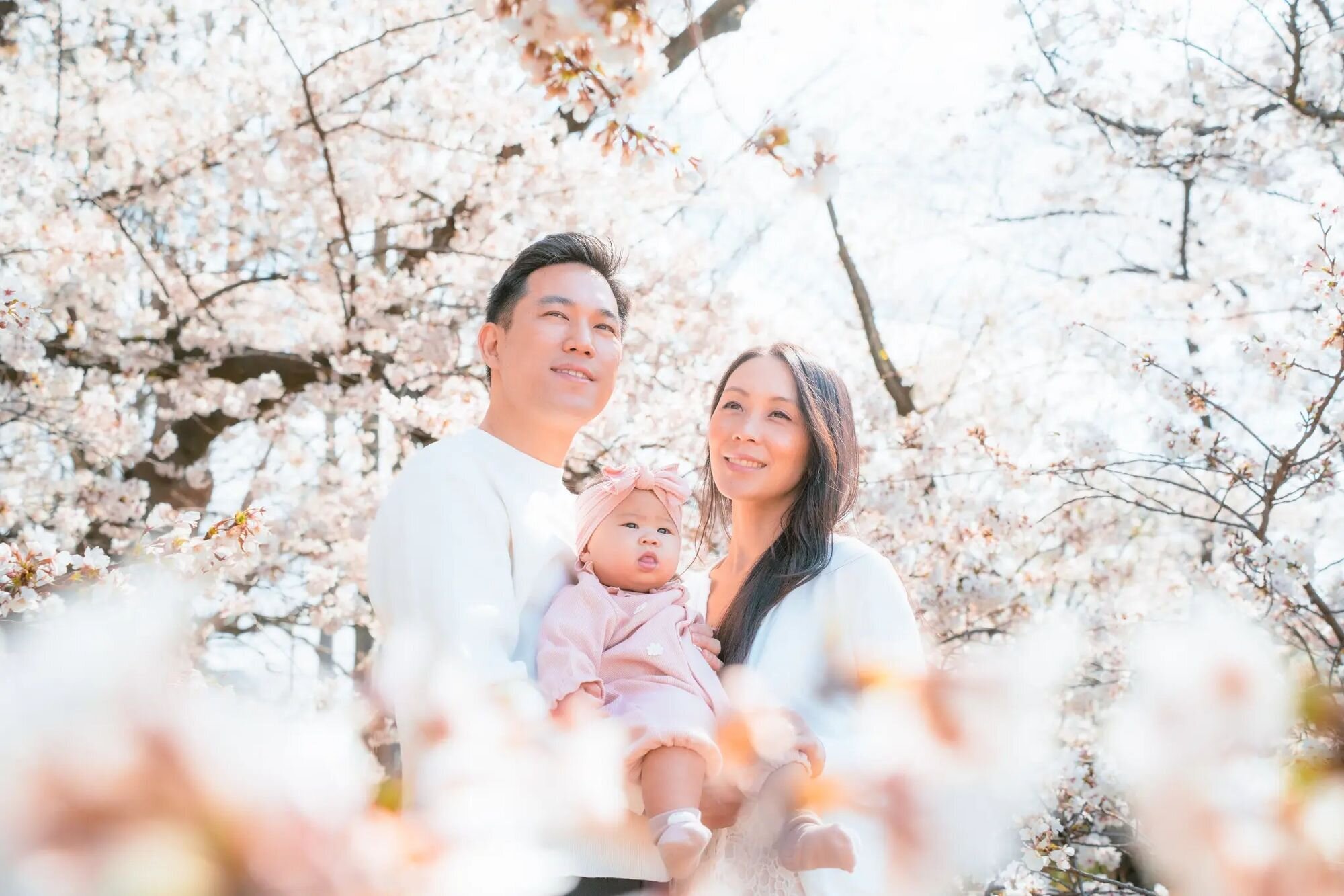 Fukuoka Photographer — Family Cherry Blossom Session at Ohori Park A family of three — parents holding their baby — surrounded by cherry blossoms in full bloom during a professional photo session in Fukuoka, Japan