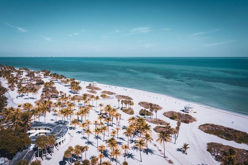 Aerial view of Crandon Park beach on Key Biscayne Miami, with rows of palm trees, white sand, and calm turquoise water — a top location for Miami family photography sessions