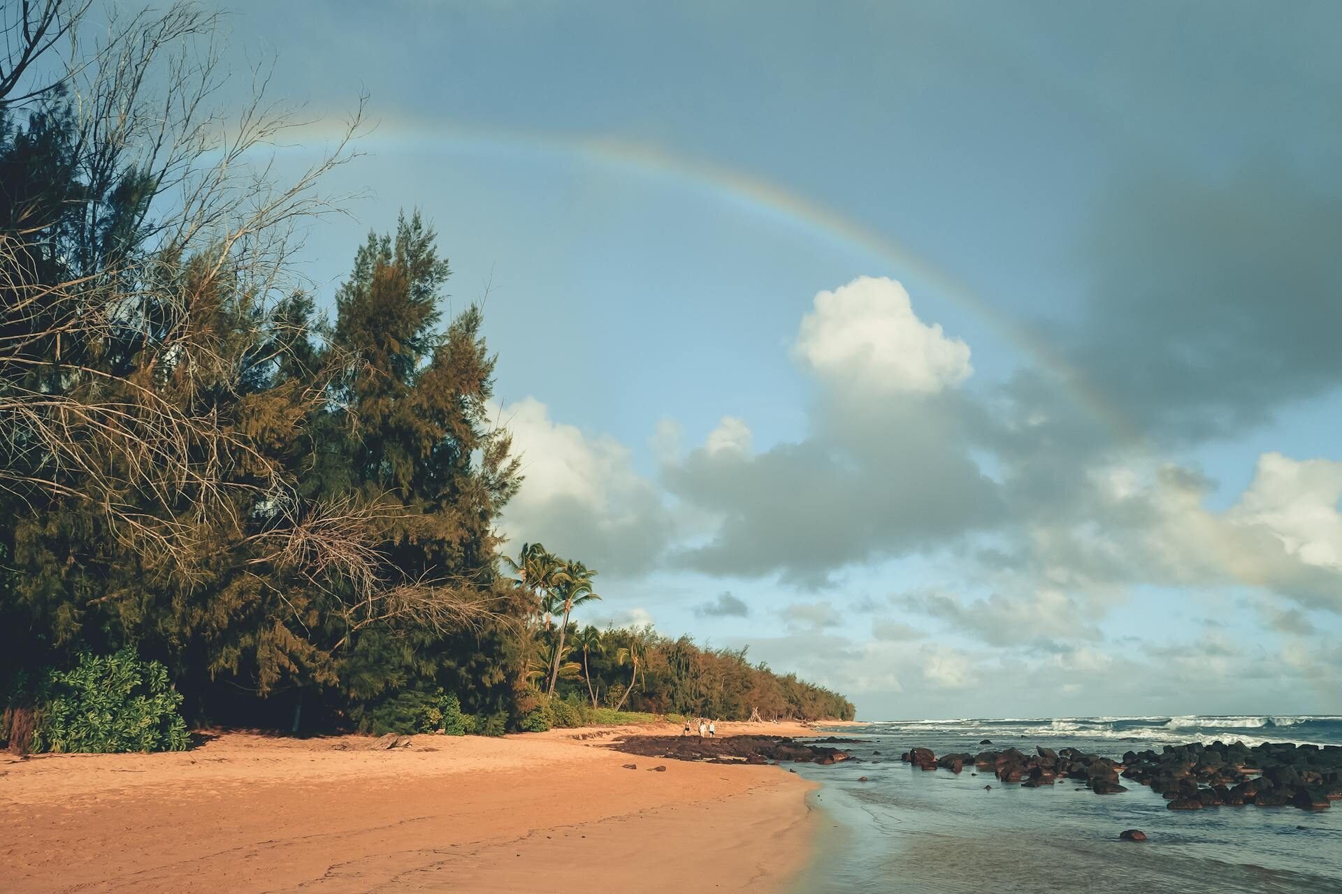 Sandy Kauai beach lined with lush tropical trees and a rainbow over the ocean at Lydgate Beach Park — a family-friendly photography location on the east side of Kauai