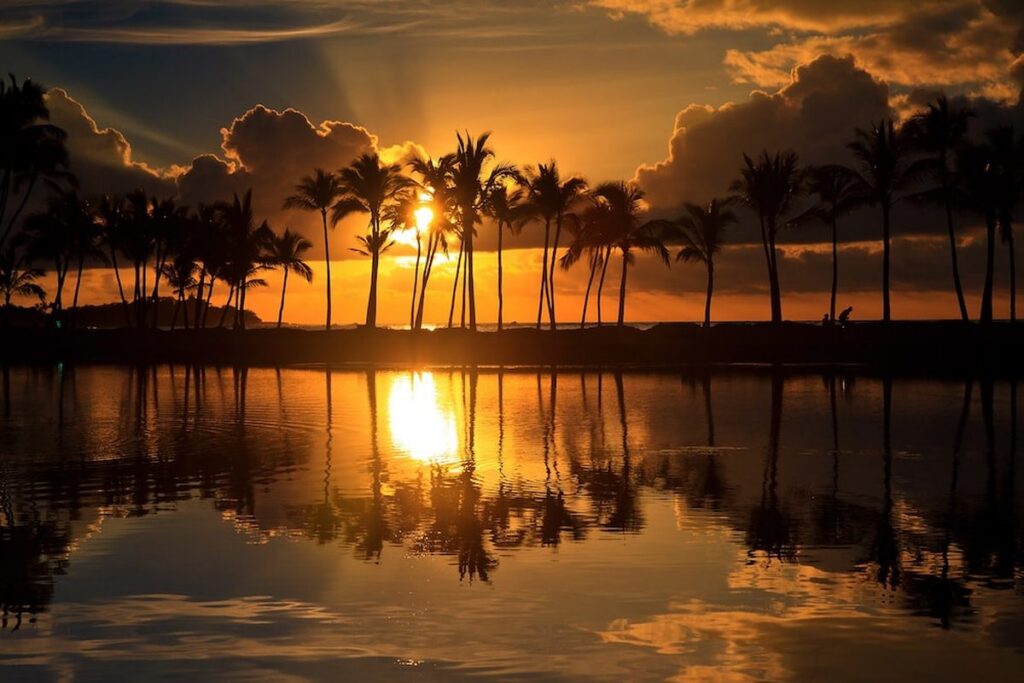 Palm trees at sunset at Anaehoamalu Bay Big Island Hawaii, a stunning family photoshoot spot.
