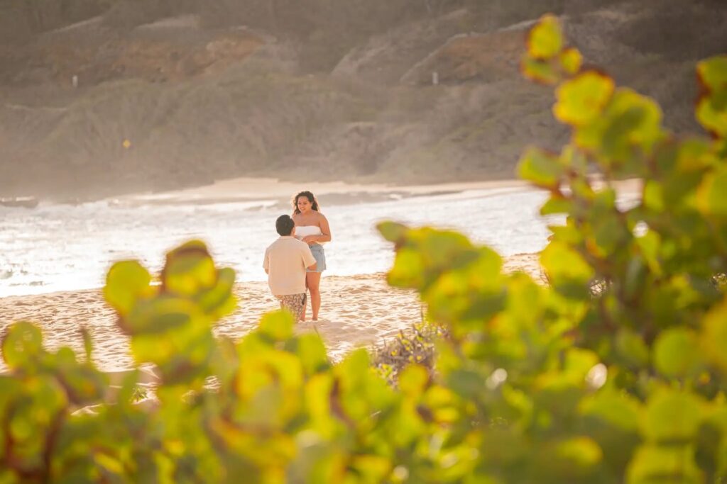 A discreet photographer capturing a beach proposal from behind tropical foliage using a long lens in Hawaii.