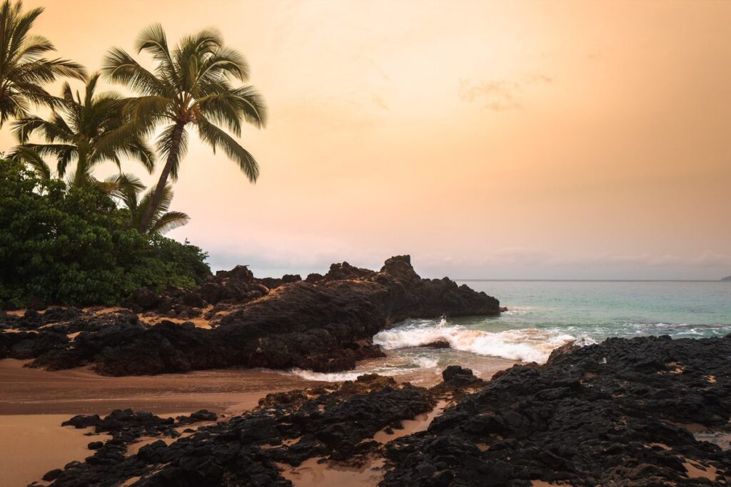 Family photoshoot at Makena Cove Maui at sunset, featuring golden sand and lava rock.